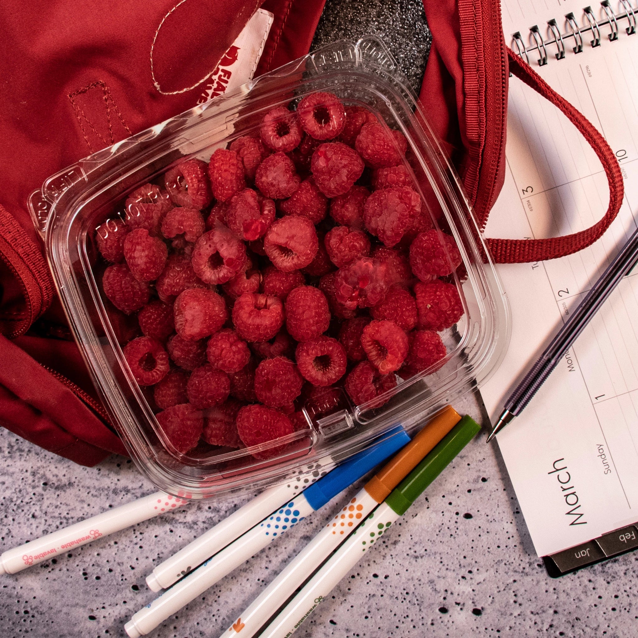 Dart CH24DEF SafeSeal container holding raspberries in a red backpack