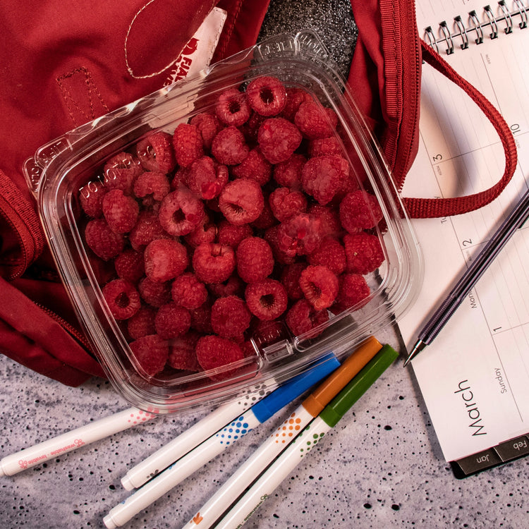 Dart CH24DEF SafeSeal container holding raspberries in a red backpack
