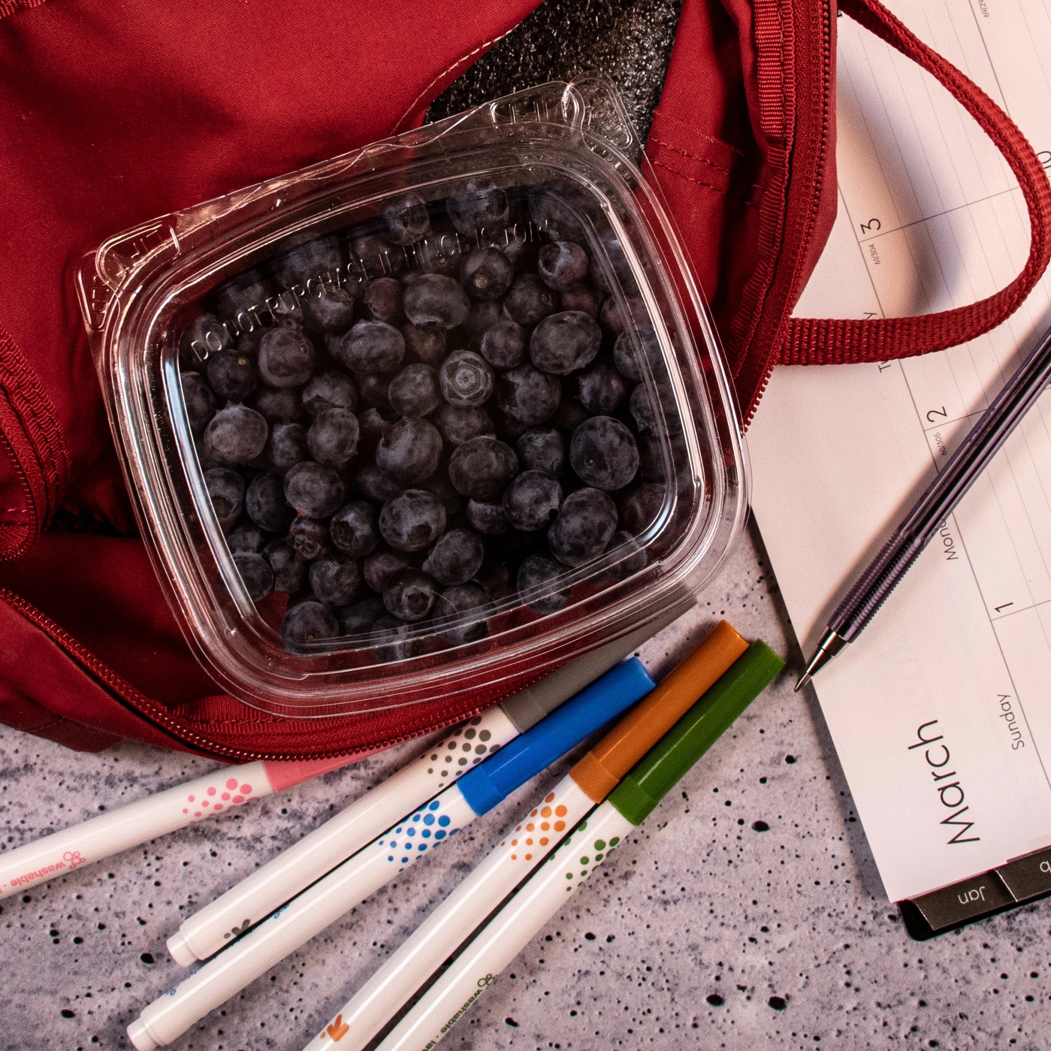 Dart CH8DEF SafeSeal container holding blueberries in a red backpack