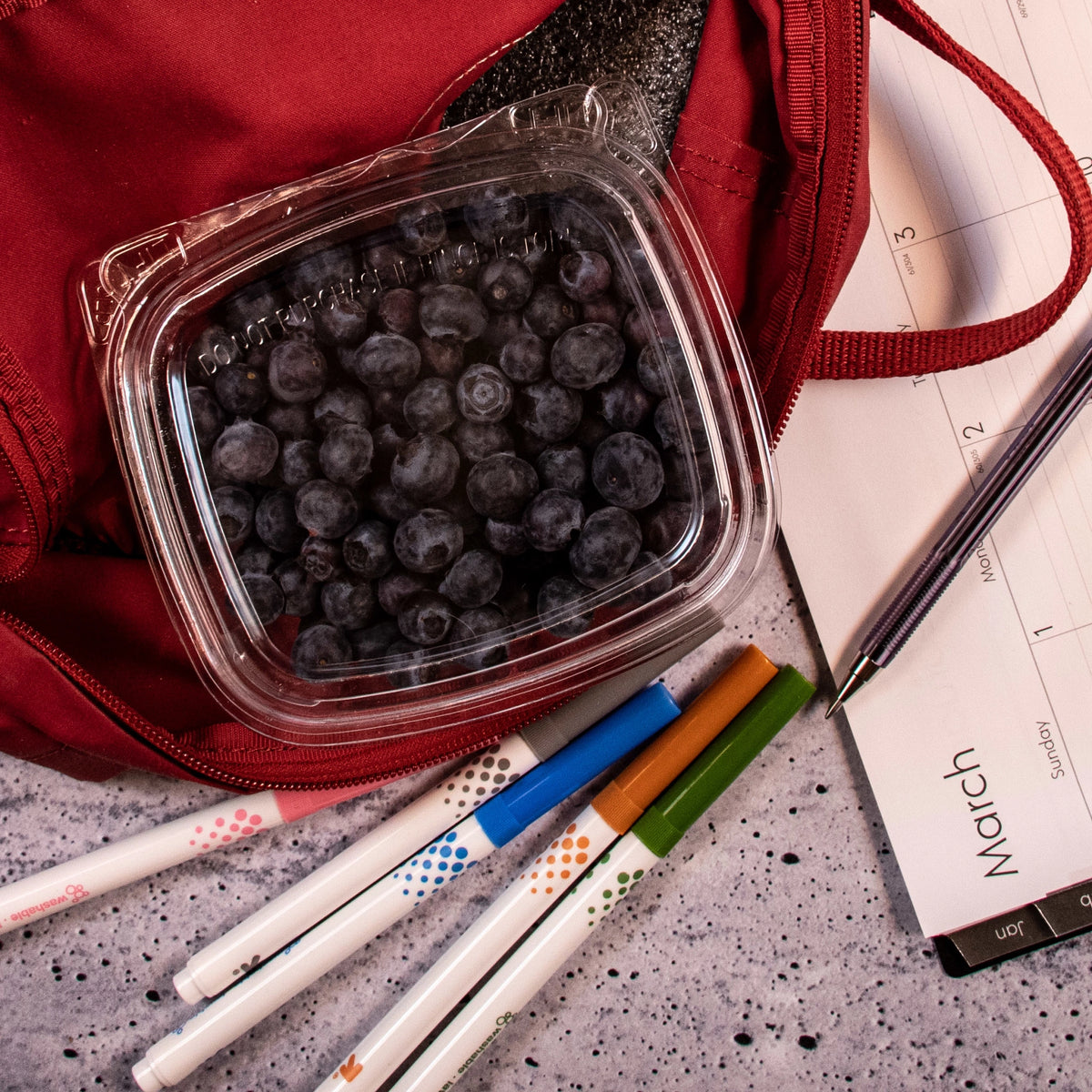 Dart CH8DEF SafeSeal container holding blueberries in a red backpack
