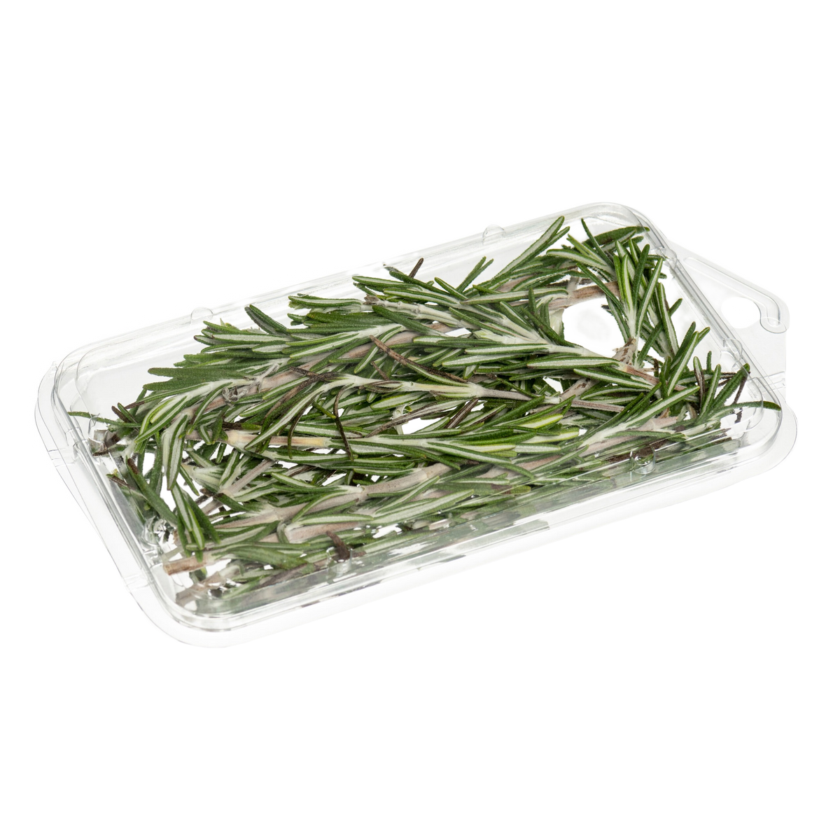 CKF 86669 clear hook top clamshell herb pack with rosemary, manufacturer product photo with background removed