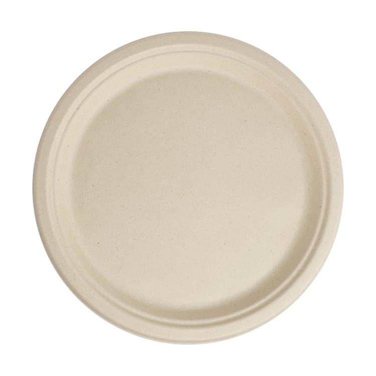 World Centric 10-inch unbleached plant-fiber round plate, empty product view