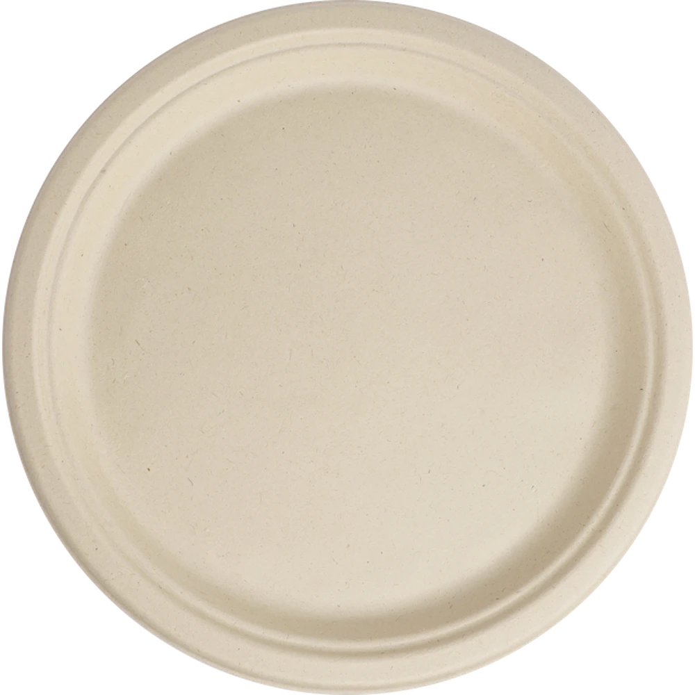 World Centric 10-inch unbleached plant-fiber round plate, manufacturer product view