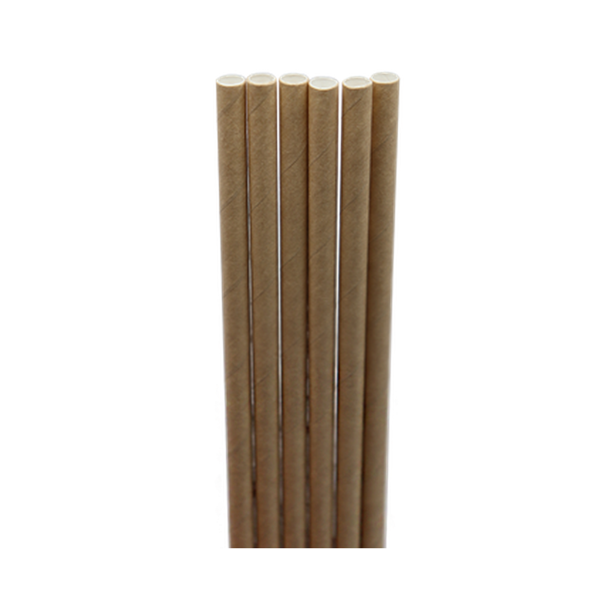 World Centric ST-PA-8-K 8-inch kraft paper straws on transparent background